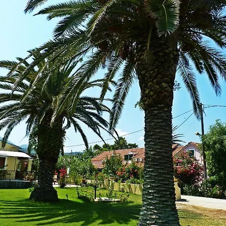 Theocharis * Acharavi (Corfu)
